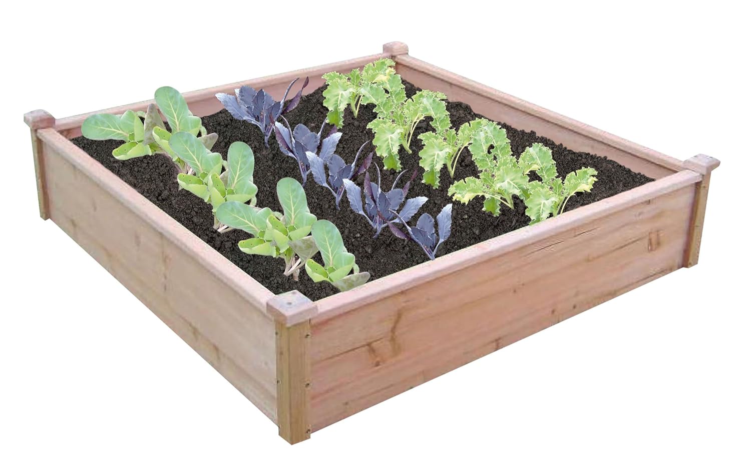 Spear & Jackson Raisedbed2 Juego de Cama levantada, 12.5x18.5x9 cm ...