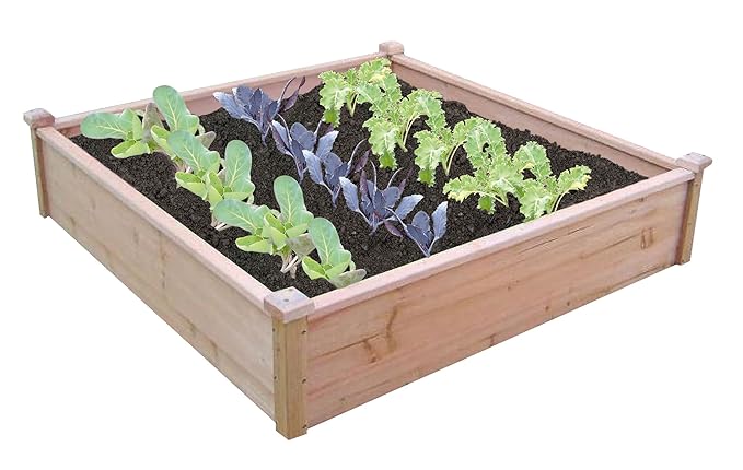 Spear & Jackson Hochbeete RAISEDBED2, braun