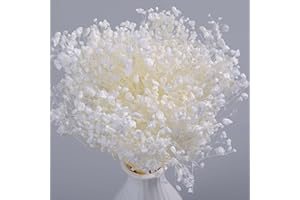 KOCEKO 5000+ Pure White Dried Baby's Breath Flowers Bouquet, 80Pcs Mini Real 100% Natural Gypsophila Bulk for DIY Candle Making, Resin Crafts, Invitations, Wedding Decor Perfect Valentine's Day Gifts