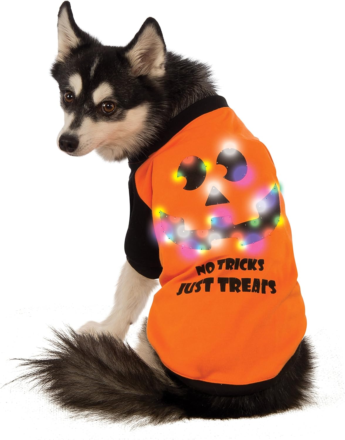 rescue puppies in my area