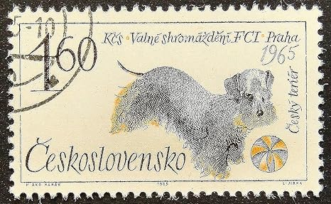 Download Amazon.com: Cesky Terrier Dog --Handmade Framed Postage Stamp Art 15019: Toys & Games