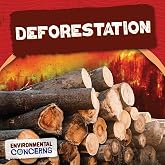 Deforestation (Environmental Concerns)