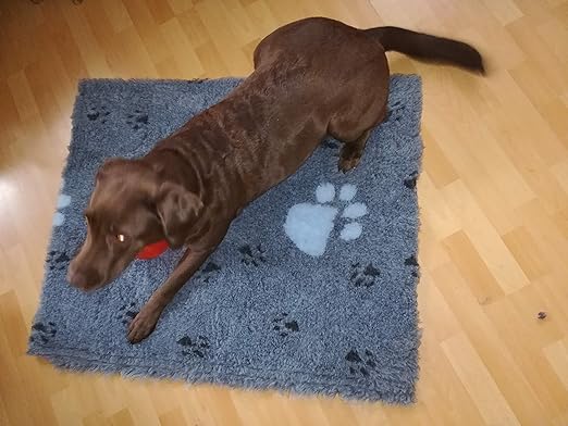 Original Drybed rutschfest in anthrazit mit blauen Pfoten, Größe