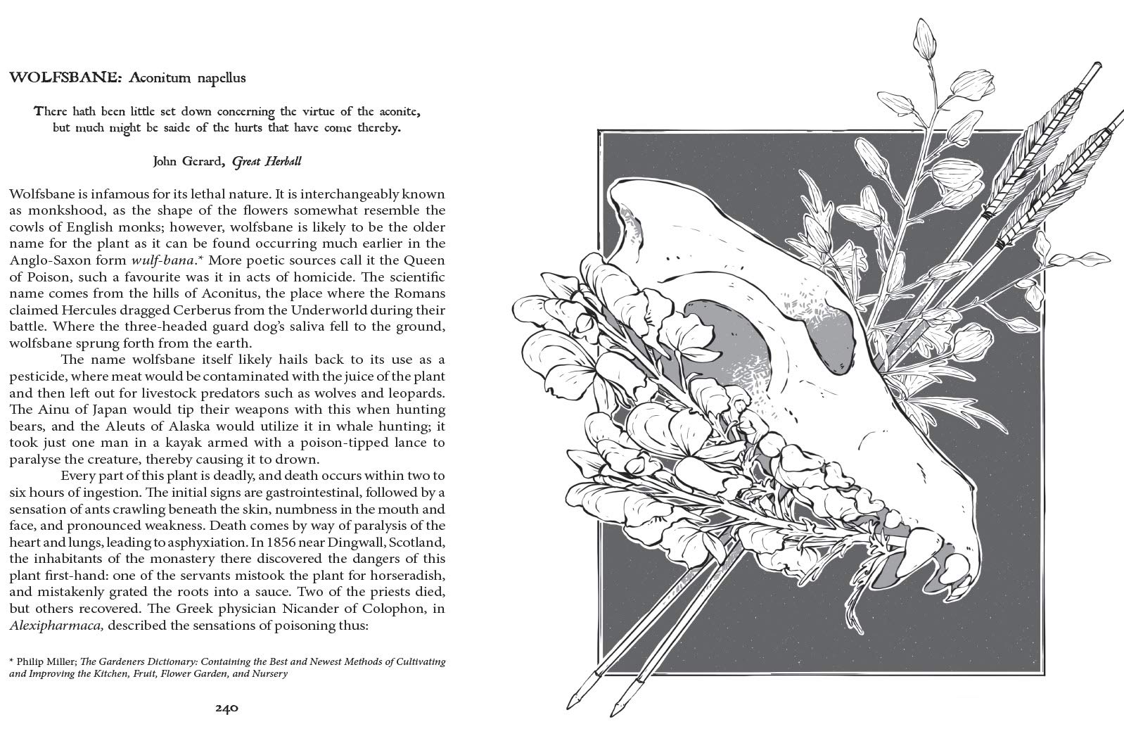 Botanical Curses And Poisons The Shadow Lives Of Plants Inkwright Fez 9781912634224 Amazon Com Books