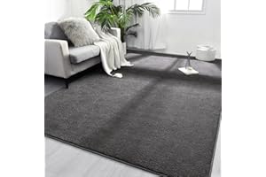 FlyDOIT Area Rugs for Bedroom Living Room, 4x6 Dark Grey Super Soft Comfy Thickened Memory-Foam Indoor Carpets, Modern Aesthetic Minimalist Carpet for Boys Girls Adults Apartment Nursery Home Décor