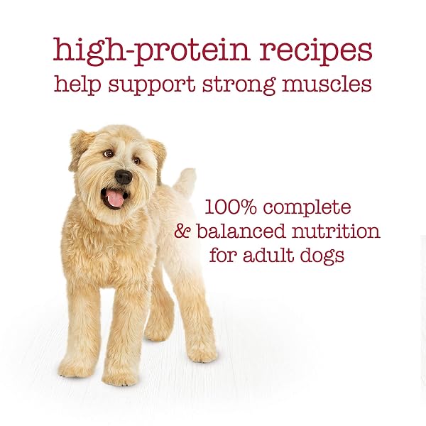 PURINA BENEFUL MEDLEYS WET DOG FOOD VARIETY PACK WITH TUSCAN, ROMANA, AND MEDITERRANEAN STYLE DOG FOOD IN DOG GRAVY, 30 PACK – (PACK OF 30) 3 OZ. CANS