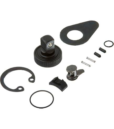 Proto Stanley J5649RK Reparatursatz Für 3/4 Zoll Antriebsratsche (J5649) – Original Ersatzteile Für Profi-Werkzeug