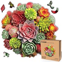 Amazon.com: Succulent Harmony - 350 Piece Wooden Puzzles for ...