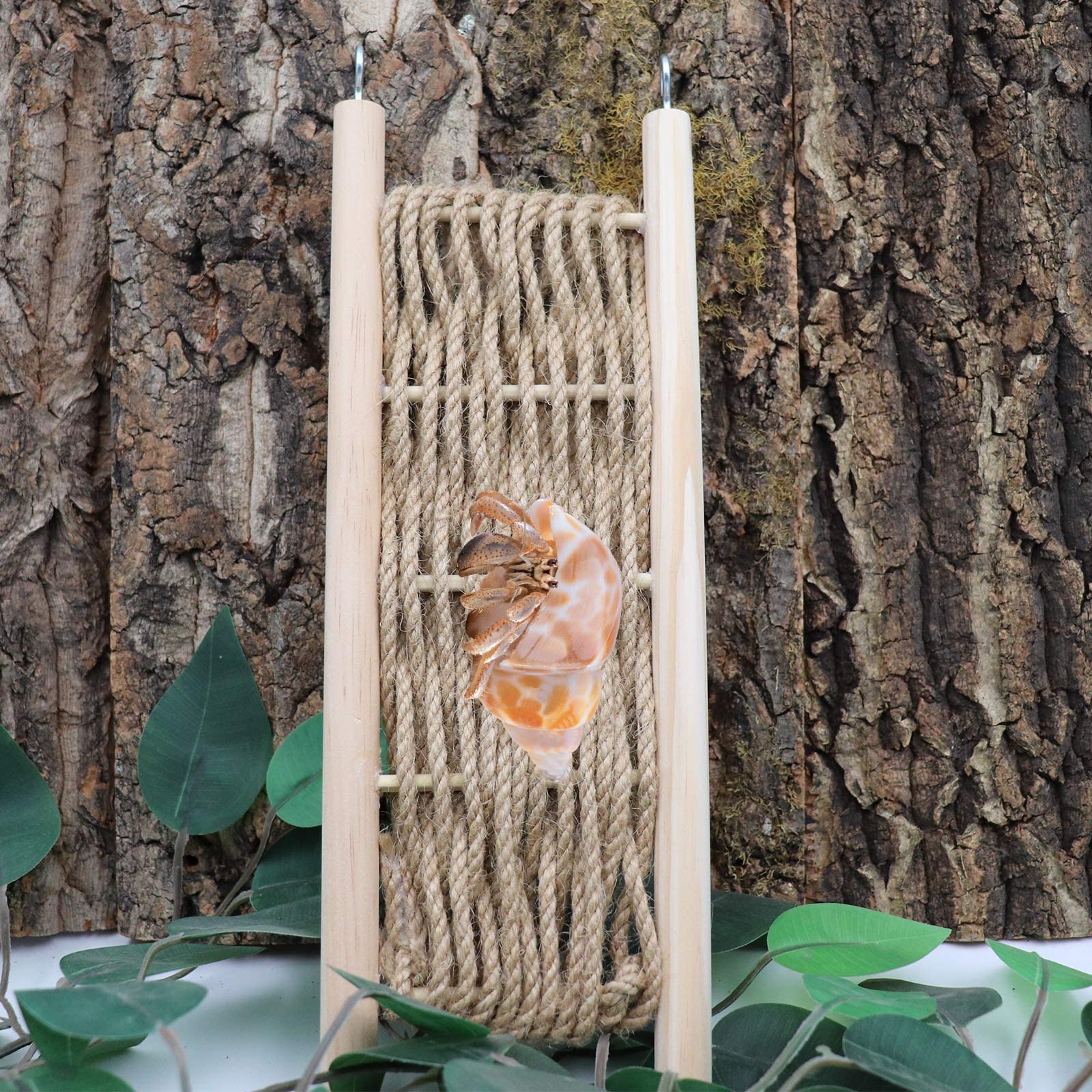 Hermit Crab Climbing Ladder Bridge, Rope and Wood Climbing Toy, Reptile Climbing Toy, Small Animal Cage Accessories, Suitable for Lizard Chameleon, Hermit Crab, Hamster, Chinchilla