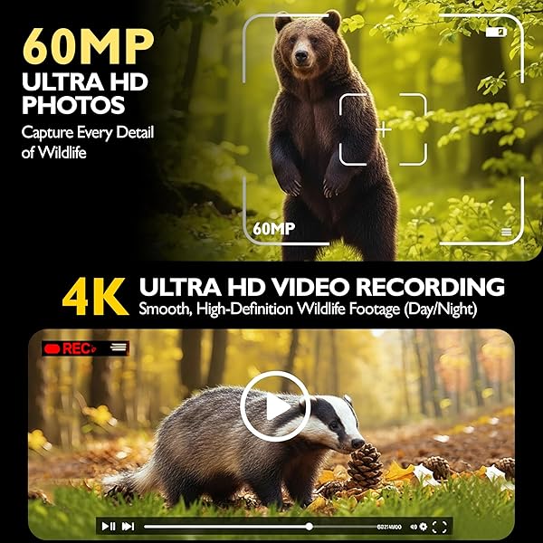 HAWKPRO DL-002 TRAIL CAMERA (NON-CELLULAR) – 60MP GAME CAMERA WITH NIGHT VISION MOTION ACTIVATED WATERPROOF IP-66, 0.3S TRIGGER TIME & 120° WIDE ANGLE – TRAIL CAM W/ 32GB CARD, USB CABLE & STRAP