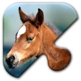Jigsaw Puzzles Free Game
