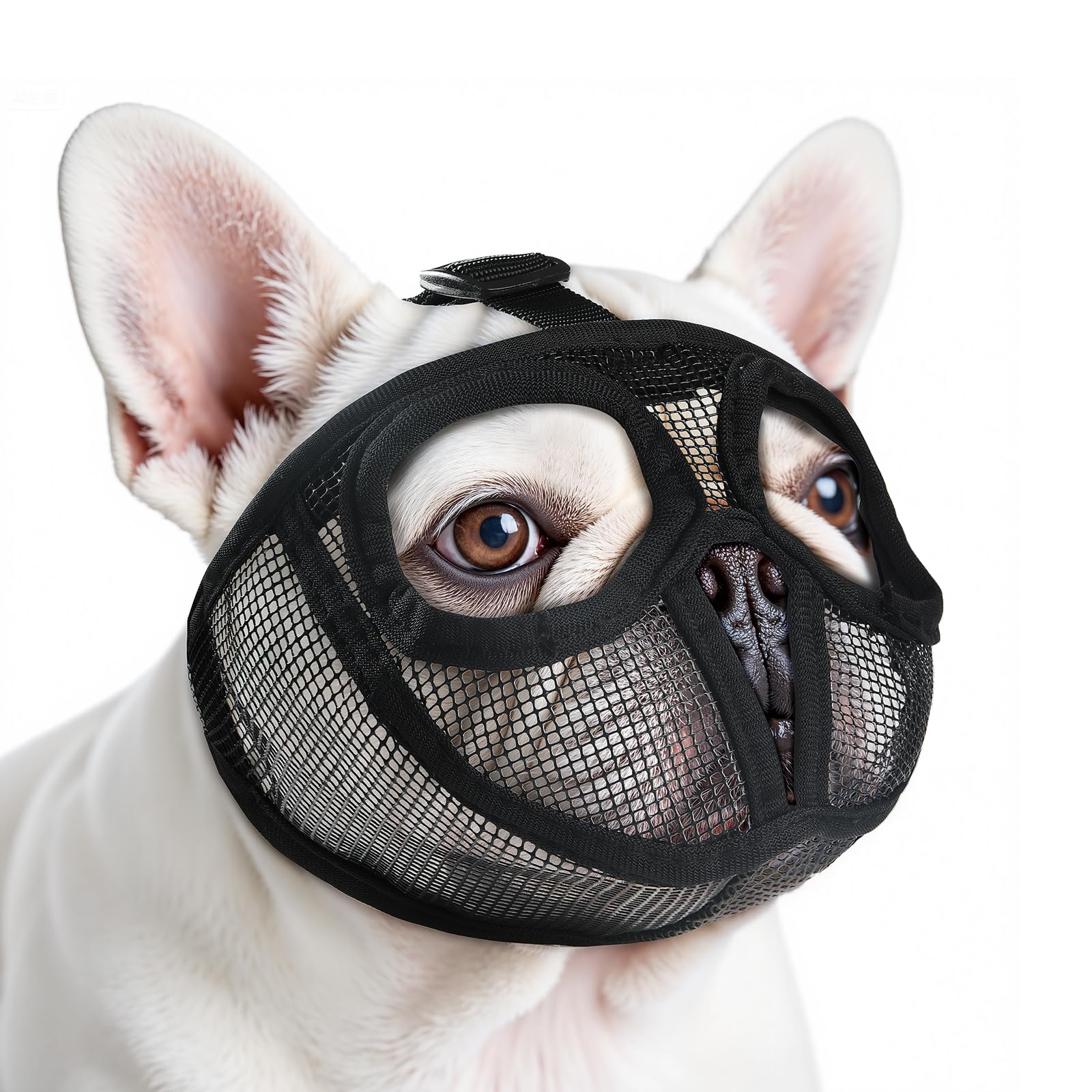 Photo 1 of French Bulldog Muzzle with Open Eye Hole, Breathable Short Snout Dog Muzzle for English Bulldog, Pug, Pekingese to Prevent Biting(XS,Black)