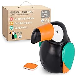 Little Big Friends Musical Friends | Pull String