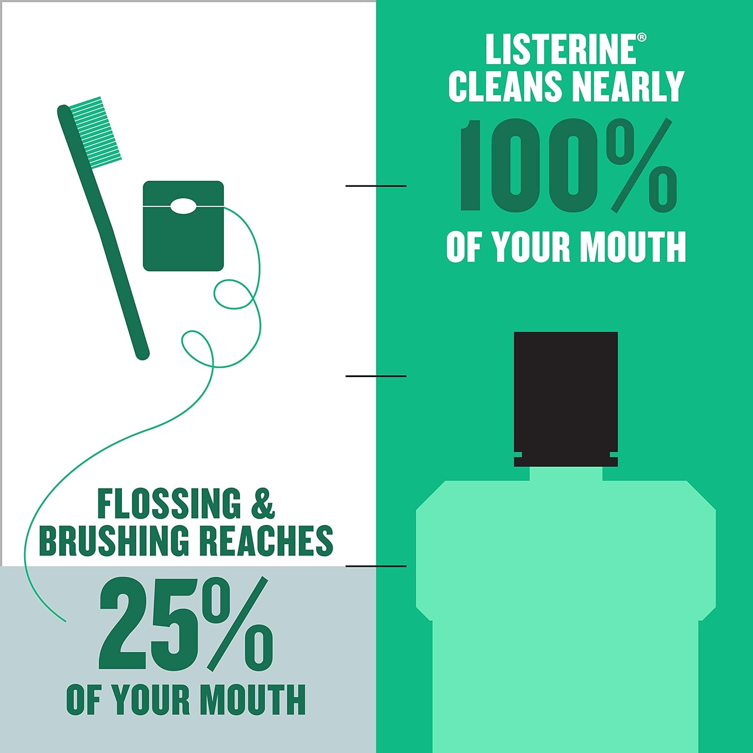 Listerine Freshburst Antiseptic Mouthwash with Germ-Killing Oral Care Formula to Fight Bad Breath, Plaque and Gingivitis, 500 mL : Beauty