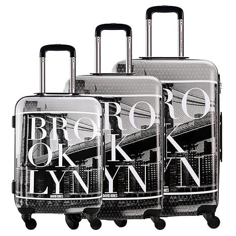 david jones travel luggage
