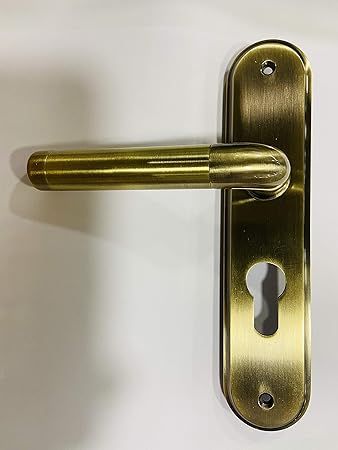 Buy Godrej Mortise Lock Oliver Dc 7365 With Pin Cylinder Antique Brass Finish One Side Key One Side Knob Online At Low Prices In India Amazon In