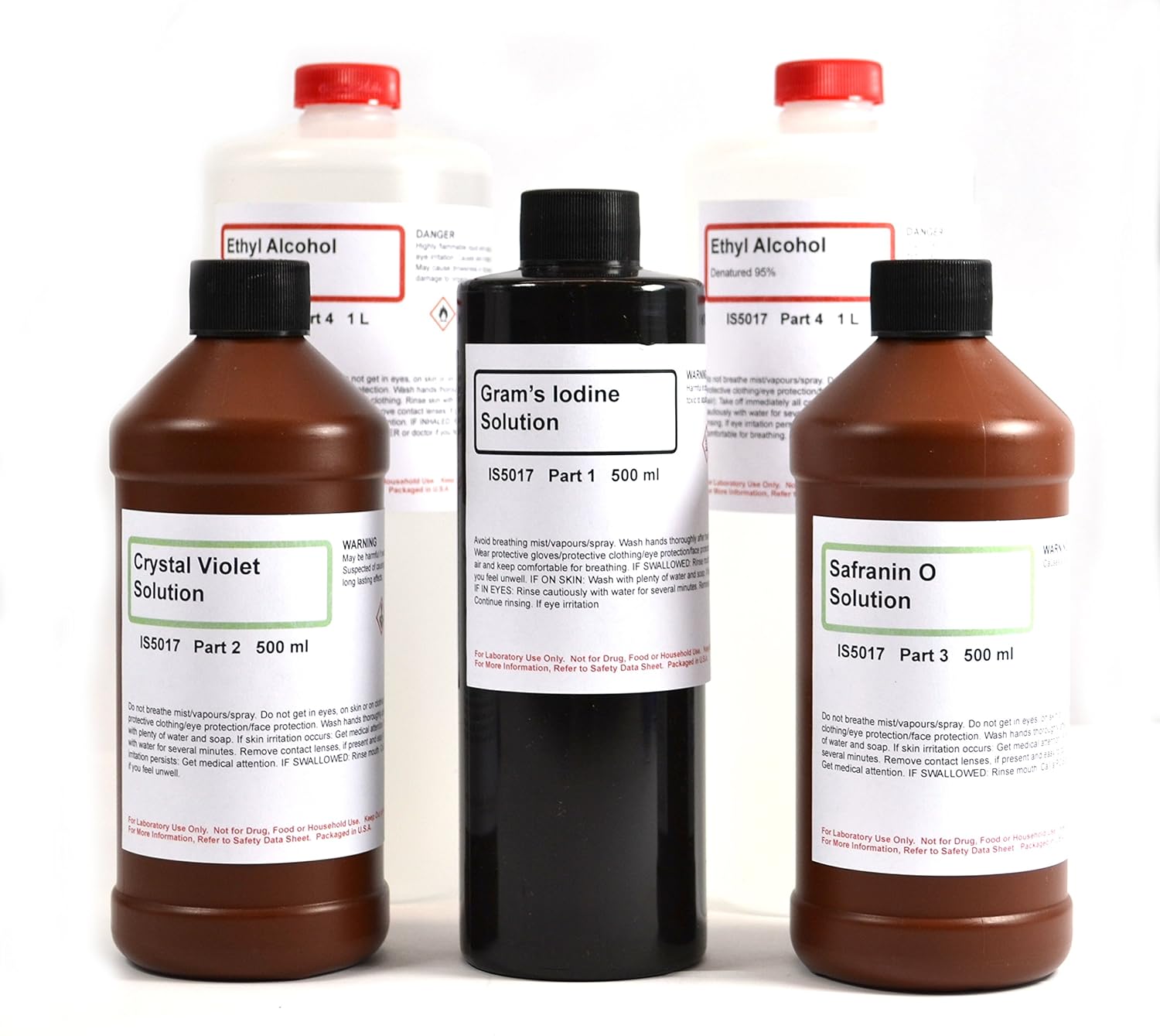 Innovating Science Gram's Stain Kit - Large