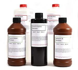 Innovating Science Gram's Stain Kit - Large