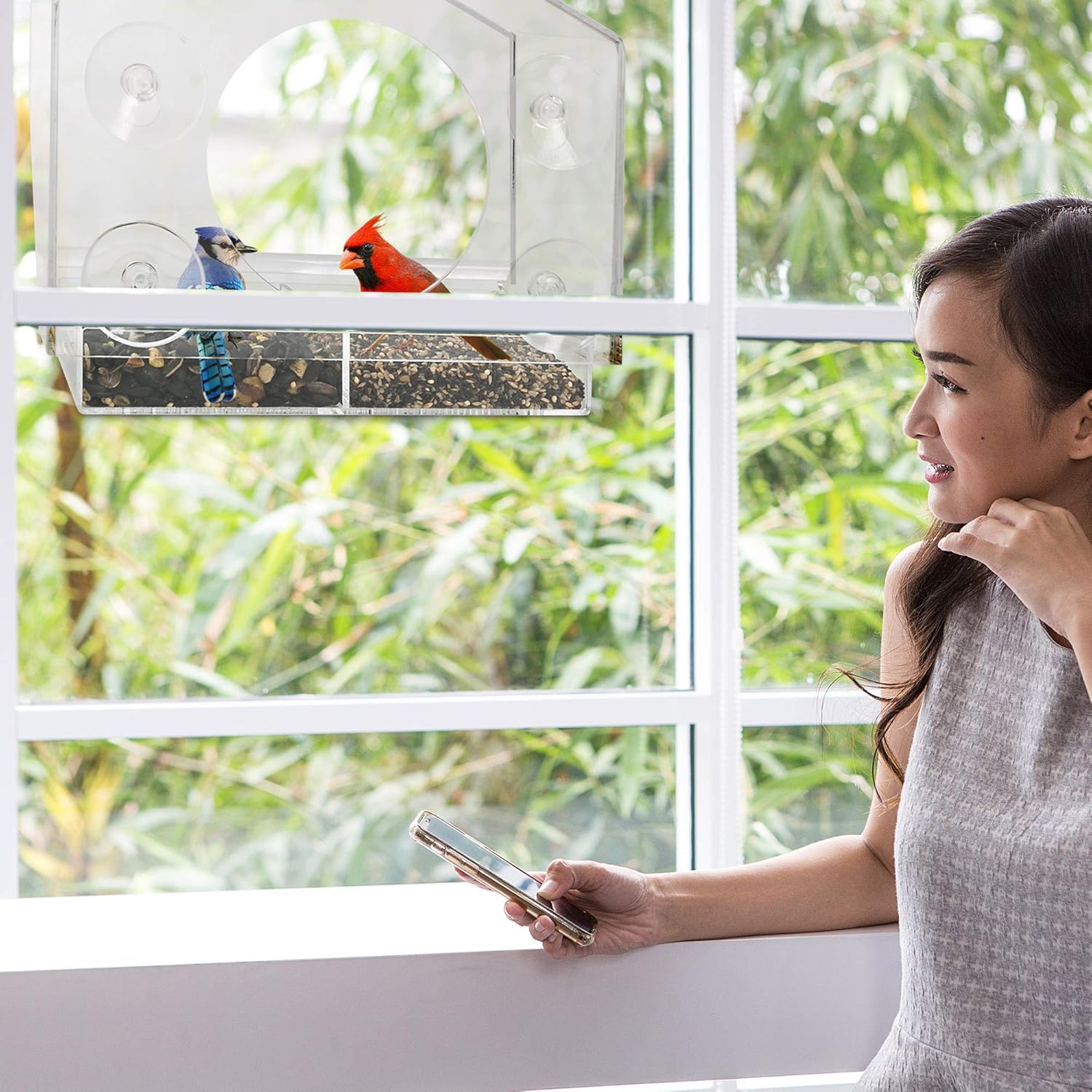 Wild Birds of Joy Bird House Window Bird Feeder with 4 Super Strong Suction Cups & Locking, Sliding Seed Tray, Extra Large, Clear Acrylic, Outdoor Bird Feeders, Outside View of Cardinal and Blue Jay : Garden & Outdoor