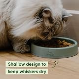 Beco Cat Steady Bowl Food & Water Whisker Friendly Coastal Blue view 4