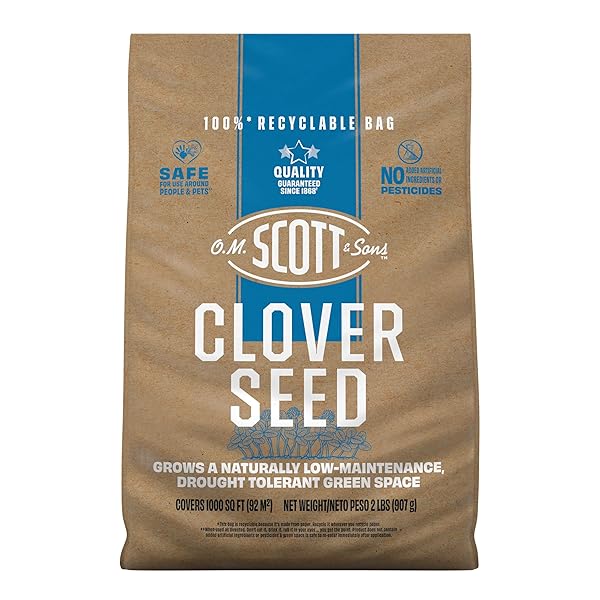 O.M. SCOTT AND SONS CLOVER SEED – LAWN...
