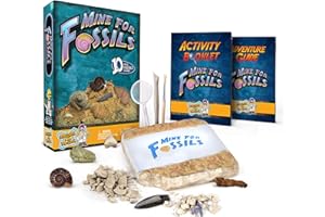 Discover with Dr. Cool Mine for Fossils Dig Kit - Excavate 15 Real Fossil Specimens