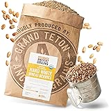 Organic Hard White Wheat Berries - 25 lbs
