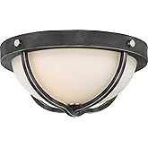 Nuvo 60/6126 Two Light Flush Mount, Pack of 1, Bronze/Dark