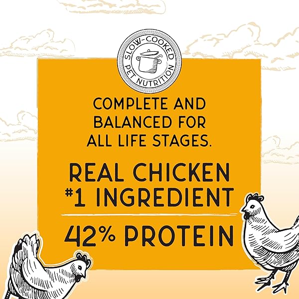 BLACKWOOD BOUNTY DRY CAT FOOD, CHICKEN & TURKEY RECIPE FOR ALL LIFE STAGES, 4.5 POUND BAG, HIGH PROTEIN, GRAIN FREE