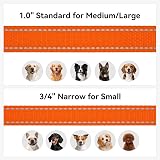 Joytale Padded Handle Dog Lead Double-Sided Reflective Nylon 1.2m Orange view 6