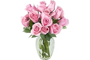 KaBloom PRIME NEXT DAY DELIVERY - Mother’s Day Collection - Bouquet of 12 Fresh Pink Roses with Vase| Gift for Birthday, Get Well, Thank You, Valentine, Mother’s Day Fresh Flowers