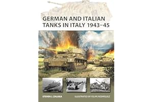 German and Italian Tanks in Italy 1943–45