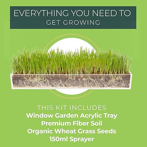 Window Garden Organic Wheatgrass Grow n Serve Kit– Plant an