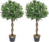 Christow Artificial Bay Tree in Pot 3ft 4ft Twin Pack Indoor Outdoor