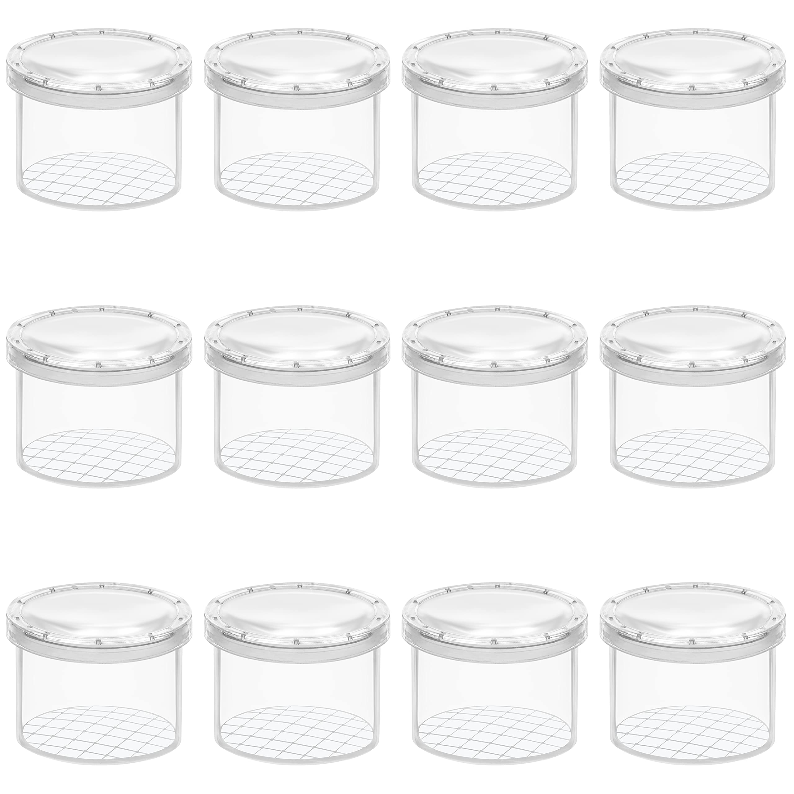 Belle Vous 12 Pack Magnifying Insect Container - Clear Observation Bug Box/Viewer - Portable Insect Cage for Science/Nature Exploration and Bug Collecting - Catching Tool/Toy for Adults and Children