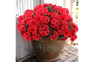 Hananona 6 Pcs Artificial Geranium Flowers for Outdoors Geranium Silk Red Flower Outdoor UV Resistant Garden Plants Faux Flowers for Christmas Home Kitchen Table Centerpieces Decor (6, Red)