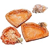 3 Pack Reptile Food Dish, Resin Hermit Crab Food &amp; Water Bowl, Reptile Feeding Food Dish Kit, Tank or Aquarium Accessory, Suitable for Turtle Lizard Hermit Crab Snail Bearded Dragon Leopard Gecko