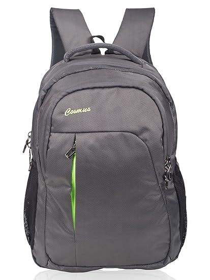 Cosmus Polyester 39Litres Grey Laptop Backpack