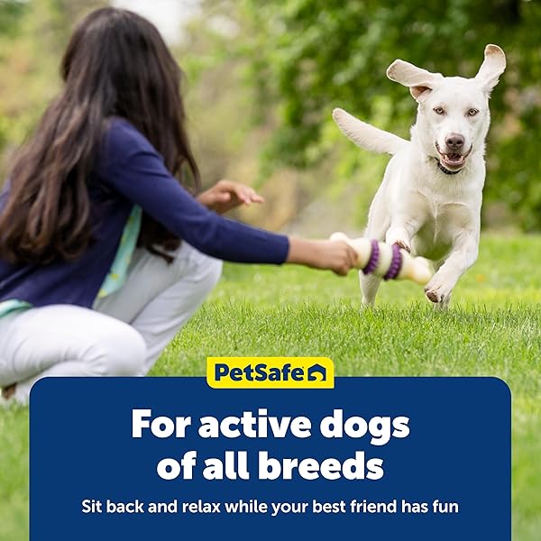 PETSAFE BUSY BUDDY NATURAL RAWHIDE RINGS – PEANUT BUTTER FLAVOR CHEWS – HIGH PROTEIN RAWHIDE RINGS – ENGAGING DOG CHEW RINGS – INTERACTIVE DOG TREATS FOR TRAINING & PLAYTIME – SIZE A