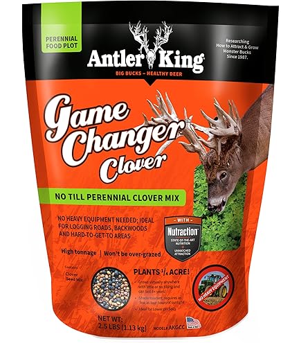 Amazon.com: Antler King Trophy Clover Mix : Sports & Outdoors
