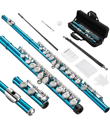 Amazon.com: MORESKY Redwood Flute 17 Agujero Abierto Plateado E