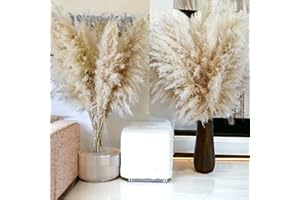 EMIR&ODIN 40" inch 25 Stems Natural Dried Pampas Grass – Tall, Large and Fluffy, No Shedding No Stench, 25 pcs Stems and 40" (100cm) Length, for Home, Office, Wedding and Events Decor