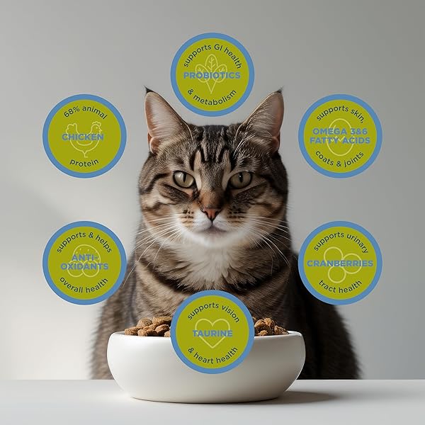 BLACKWOOD DRY CAT FOOD, LEAN / SENIOR FORMULA, CHICKEN MEAL & BROWN RICE RECIPE, 4 POUND BAG, HIGH PROTEIN, SLOW COOKED