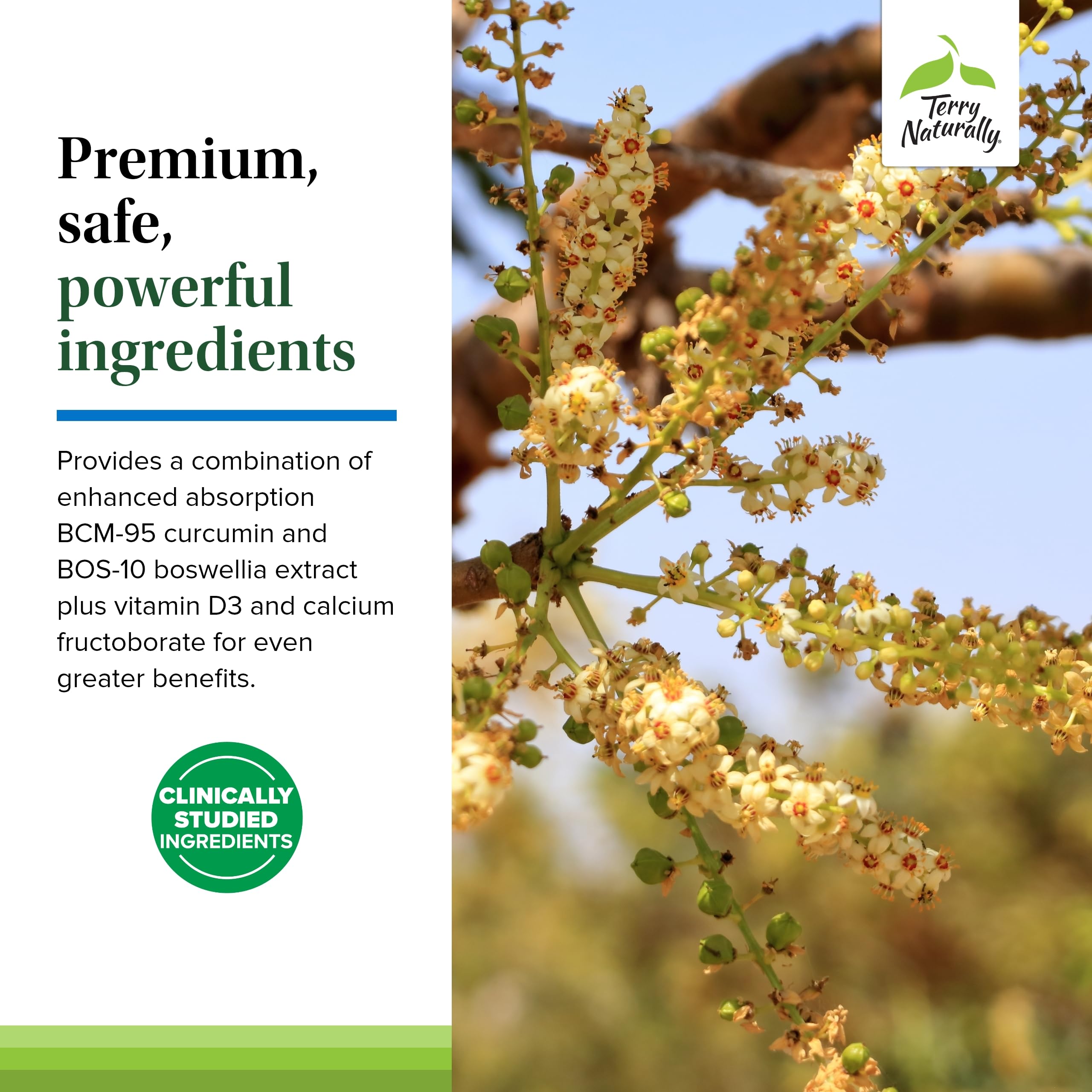 Terry Naturally Healthy Knees & Joints - Dietary Supplement to Support Bone Health & Joint Flexibility - Healthy Knee & Hip Aid with Calcium Fructoborate - 60 Capsules