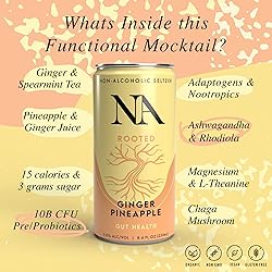 NA Non-Alcoholic Functional Adaptogen Drinks with