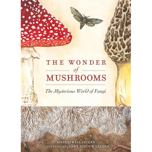 The Fascinating World of Fungi: Coleman, Max, Boddy, Lynne
