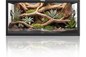 Phailozoo 50 Gallon Reptile Terrarium, Reptile Tank for Easy Maintenance, Front Opening Reptile Enclosure with Top Screen Ven