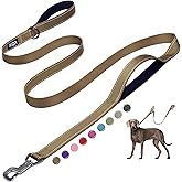 Fida 6 FT Heavy Duty Dog Leash with 2 Comfortable Padded Handles, Traffic Handle & Advanced Easy Snap Hook, Reflective Walking Lead for Large, Medium & Small Breed Dogs, Brown