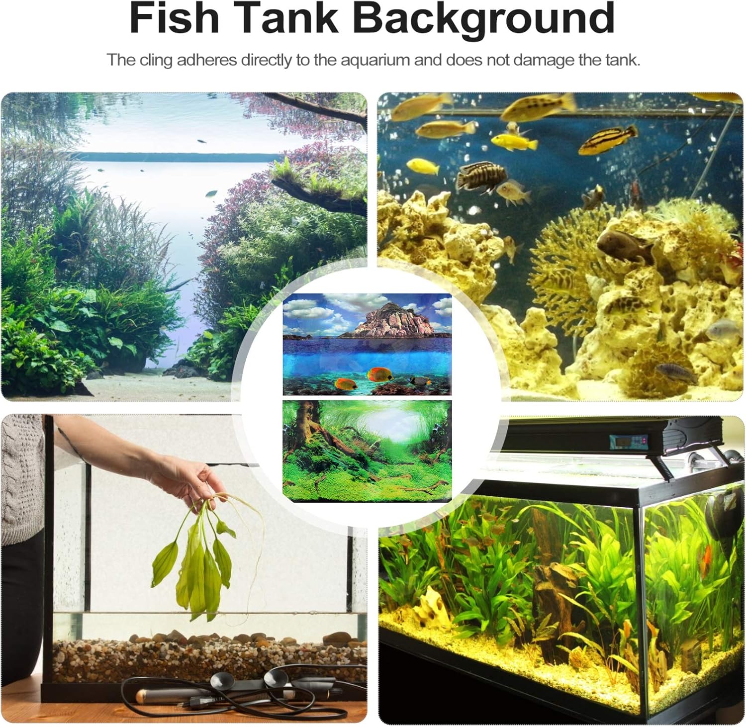 Amazon Balacoo 水槽の背景両面川湖の森水族館の背景画像水槽の装飾30 42cm Balacoo バックグラウンド 背景 通販