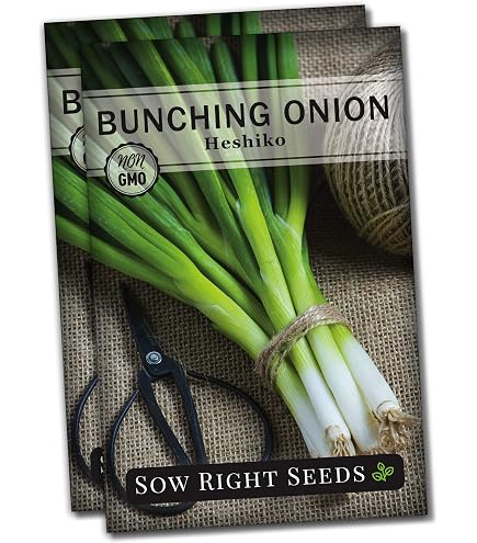 chia seeds planted Organic Chia Sprouting Seeds (8.8 oz)